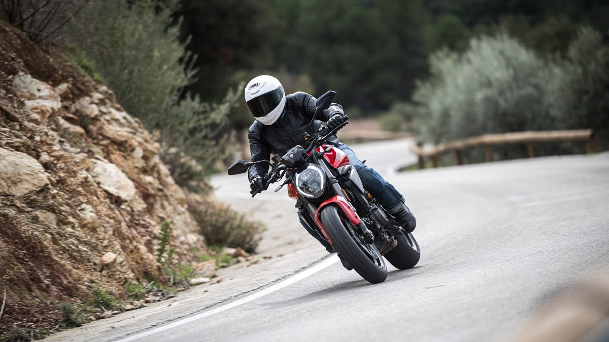 Ducati Monster V2 Paulo Ribeiro 29 - MotoX